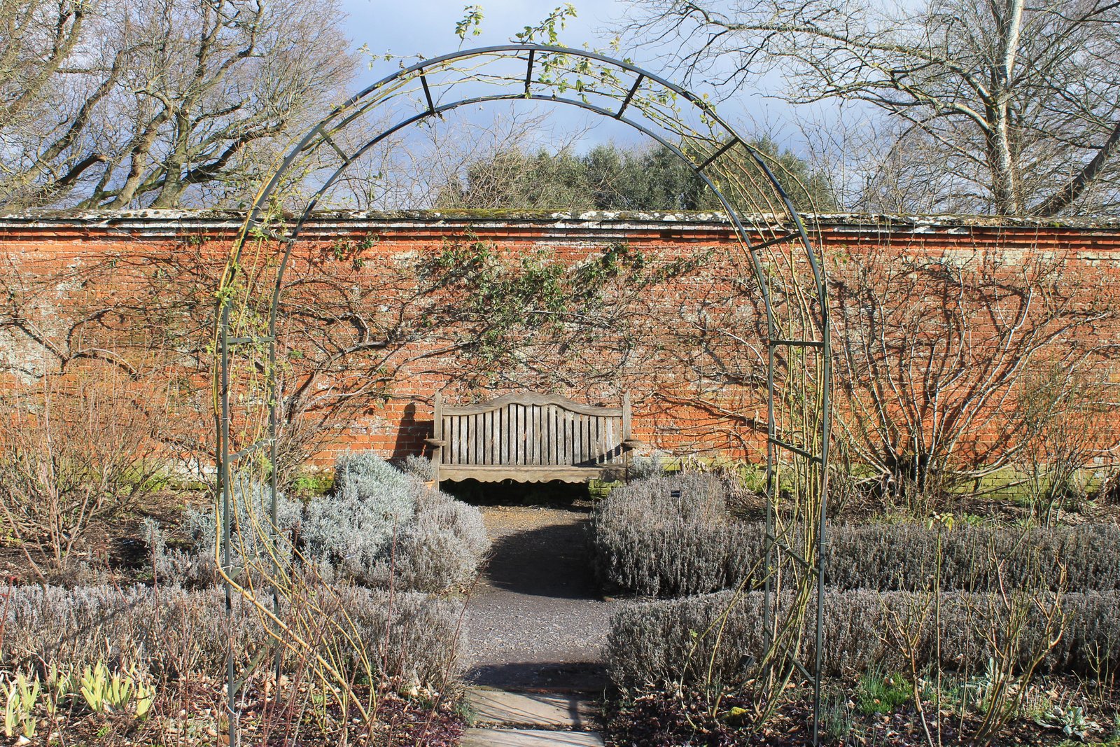 The walled rose garden at Mottisfont in early spring