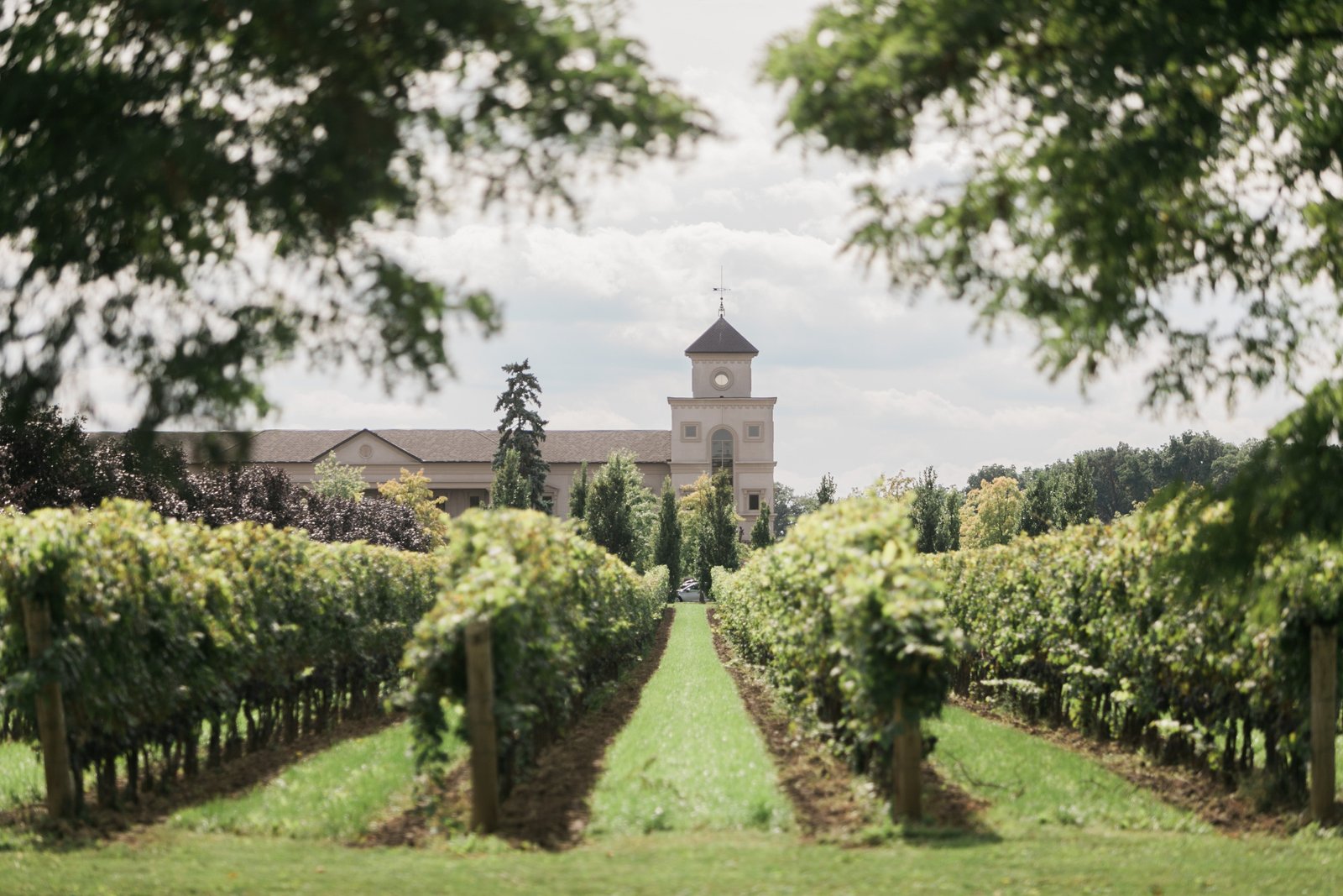 Why not plan a trip to the Two Sisters Vineyard near Niagara Falls?
