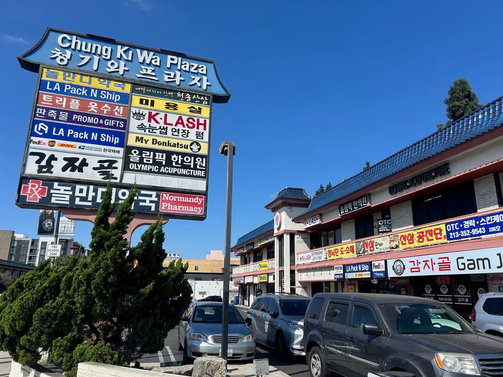 Koreatown’s car park plazas offer everything from matcha teahouses to dive bars to acupuncture specialists