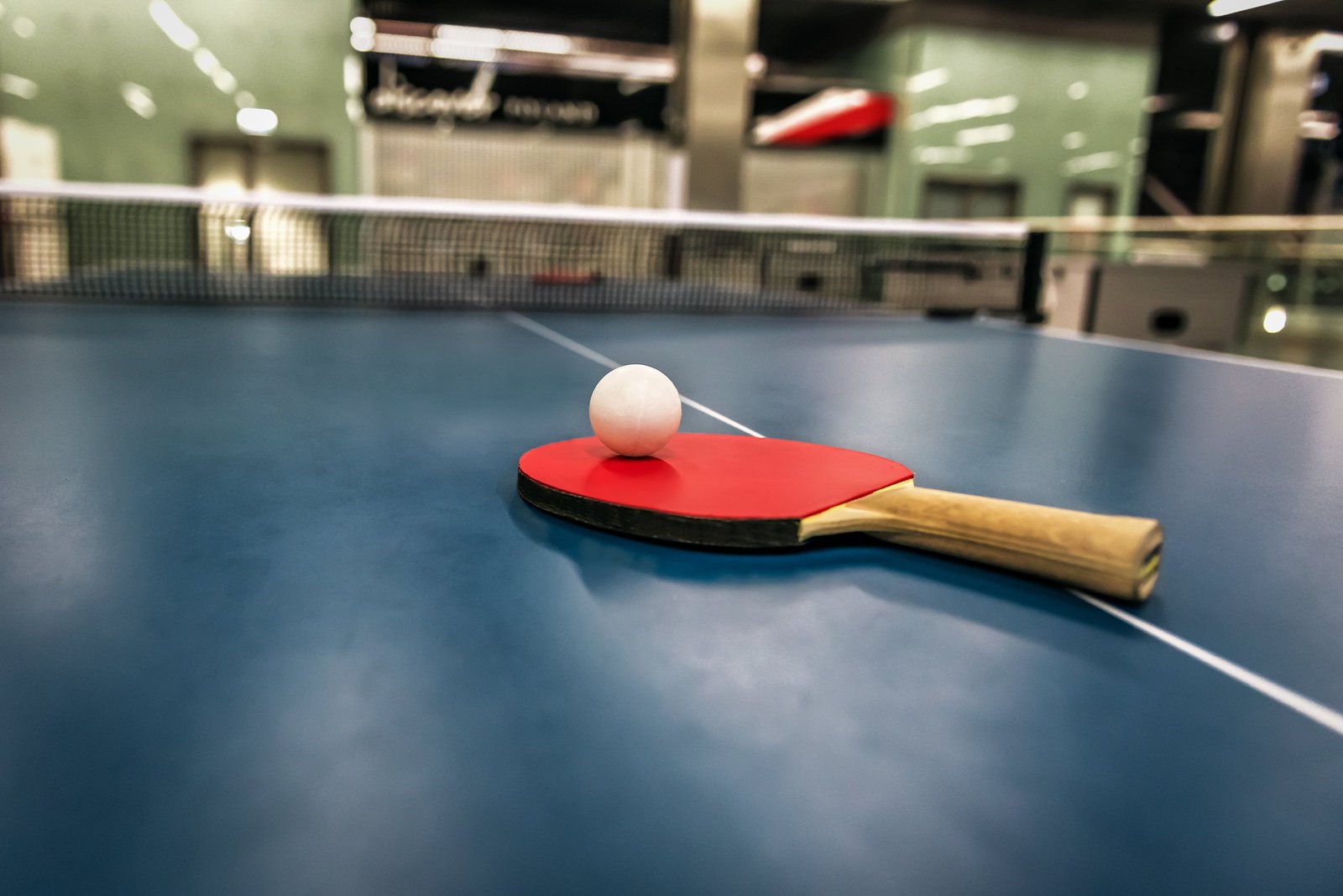 The Marty Supreme effect has been global, with searches for ‘ping pong bar Amsterdam’ up 250 percent and for ‘ table tennis bars Denmark’ by 79 percent