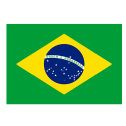 Brazil logo