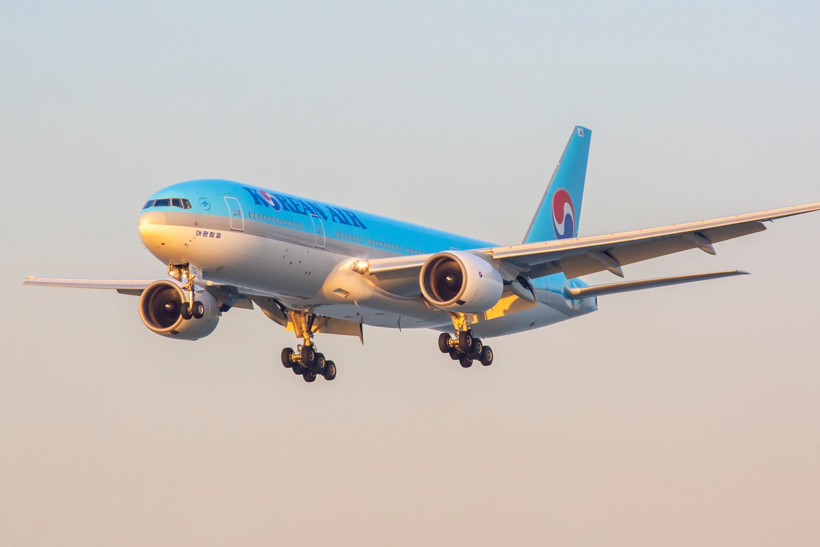 Korean Air Lines was among the worst-hit