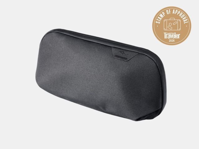 Image may contain: Accessories, Bag, Handbag, and Pencil Box