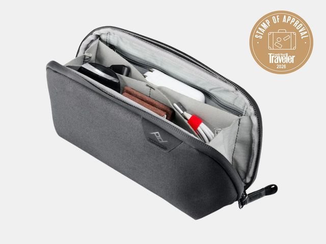 Image may contain: Accessories, Bag, Handbag, Brush, Device, and Tool