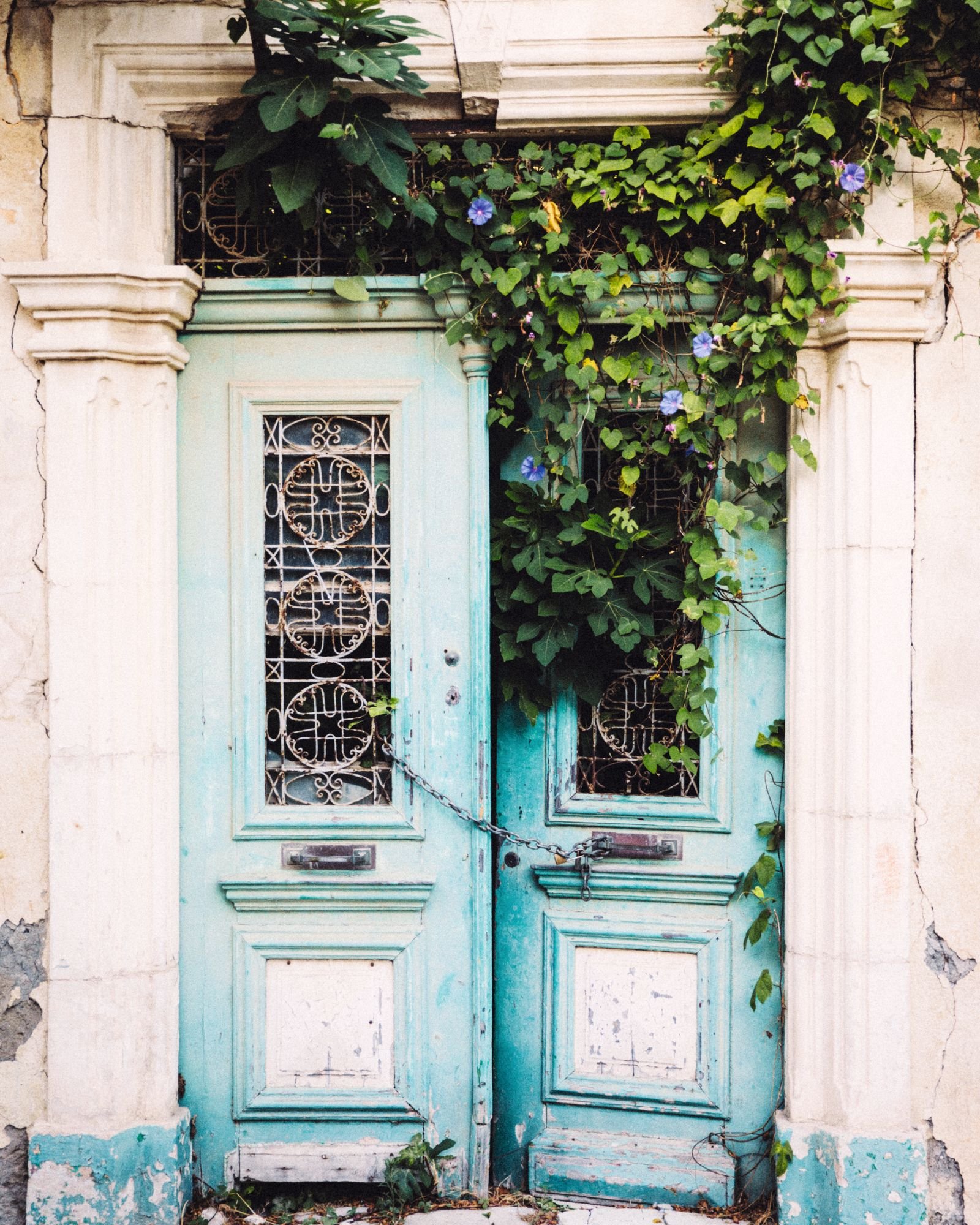 Image may contain Door