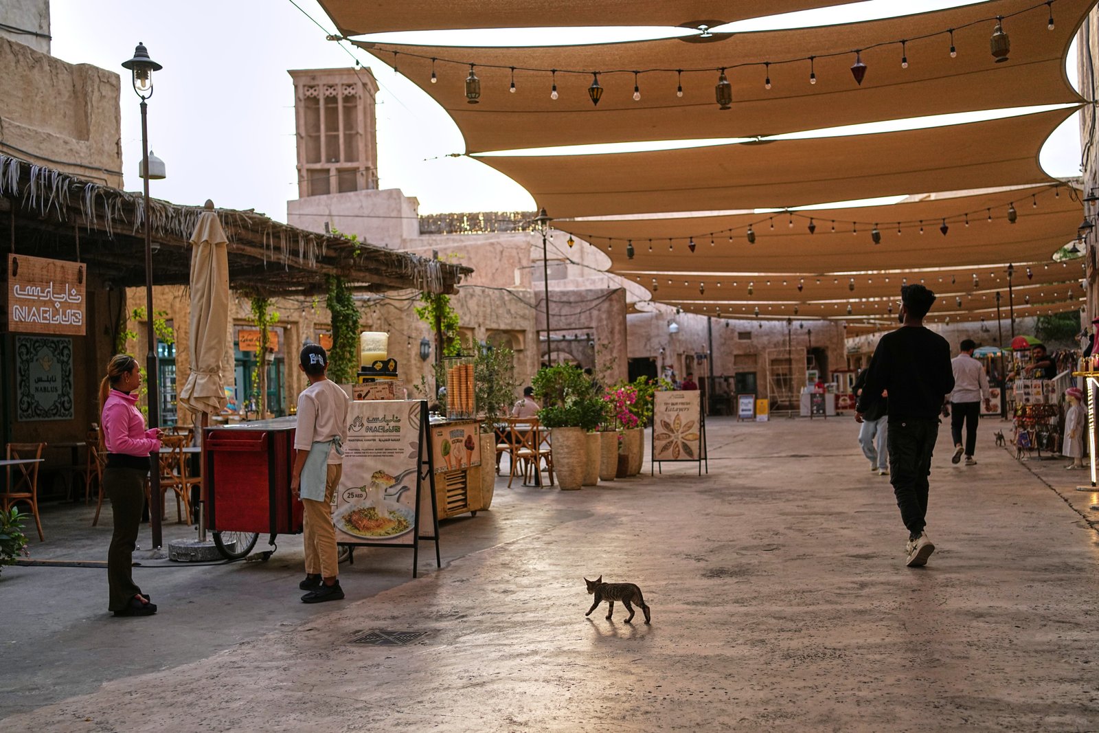 A cat walks at the mostly empty Al Seef market