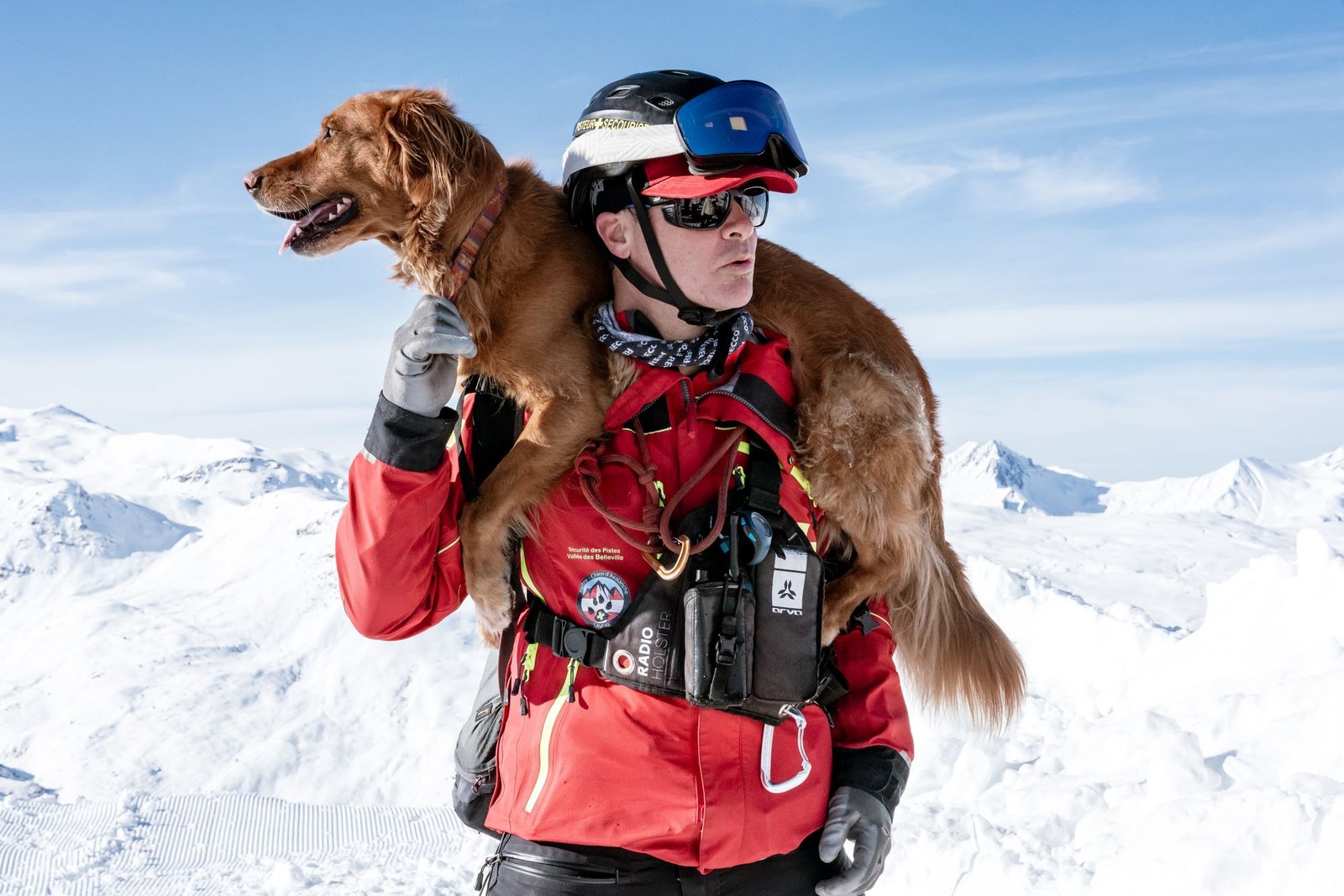 Ski patrollers keep their dogs on their shoulders while skiing to protect their paws