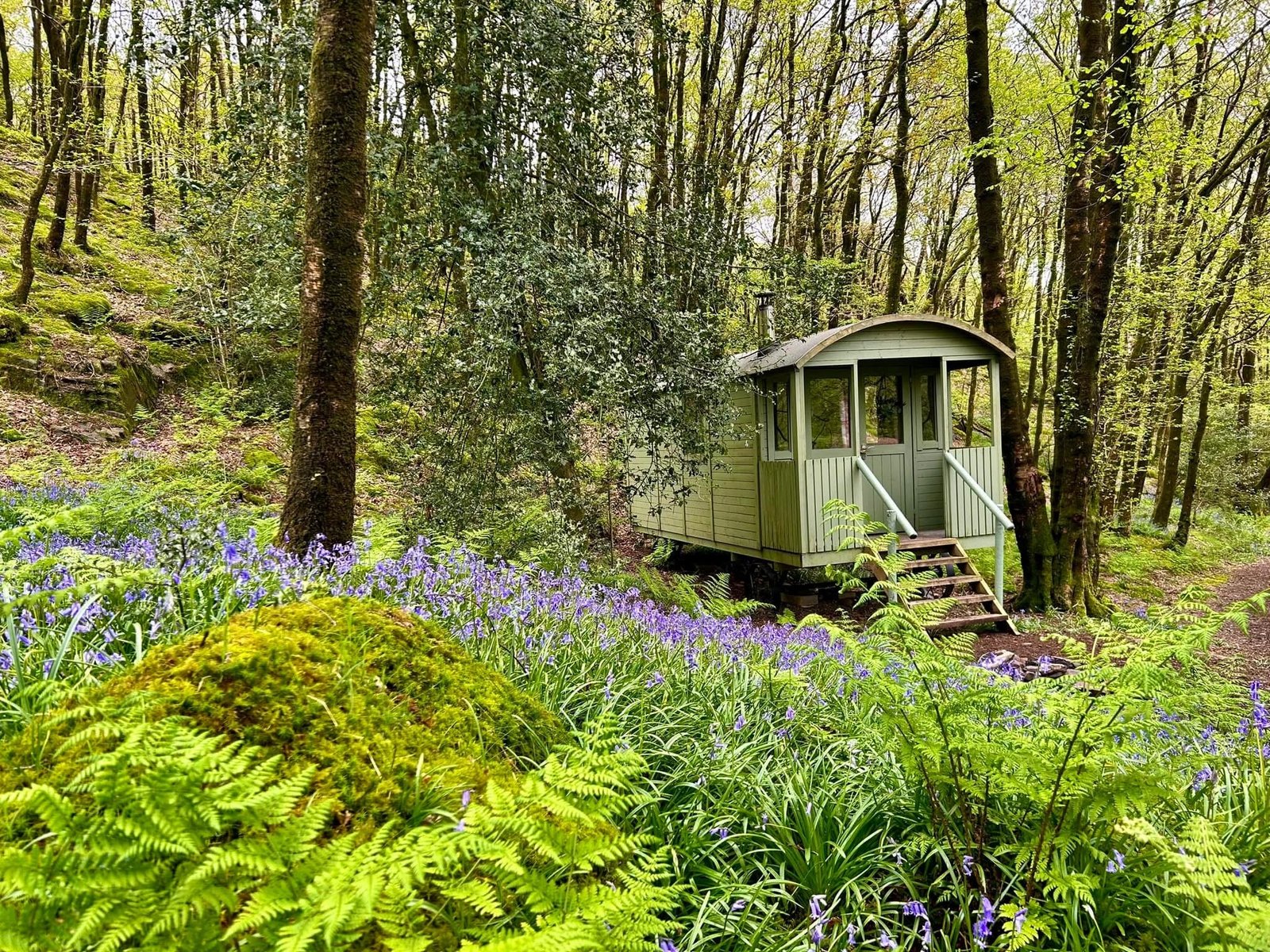 Grizedale offers yurts, pods and a bunk barn alongside traditional options