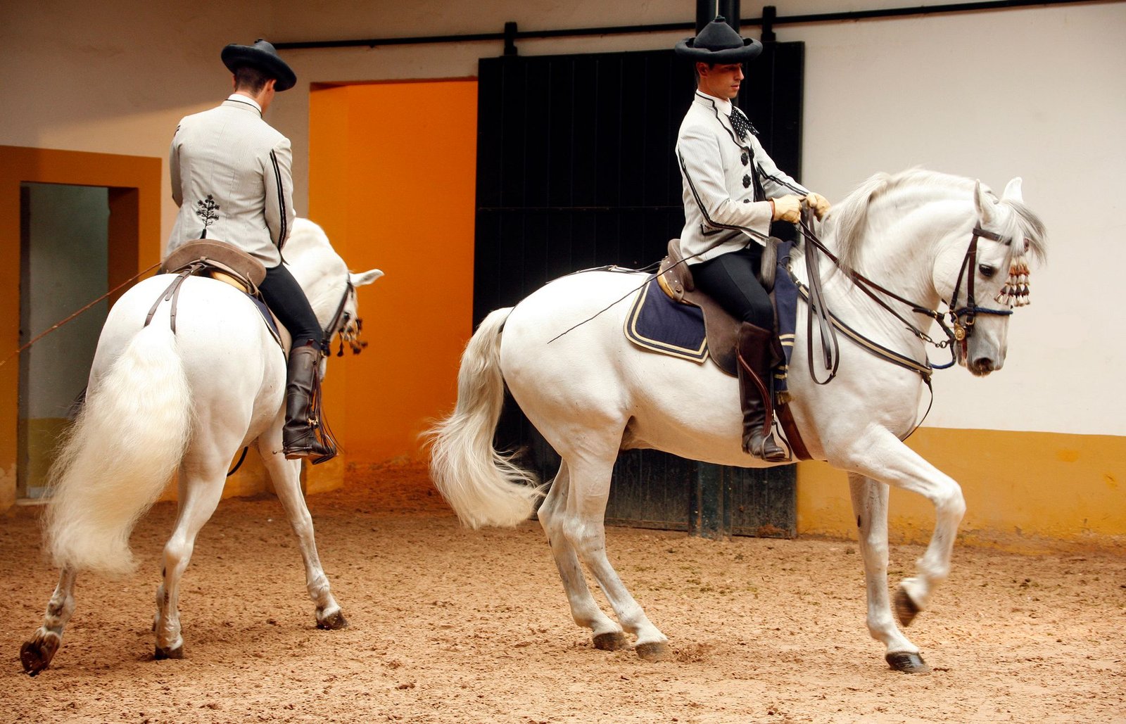 The Royal Andalusian School of Equestrian Art stages classical dressage performances