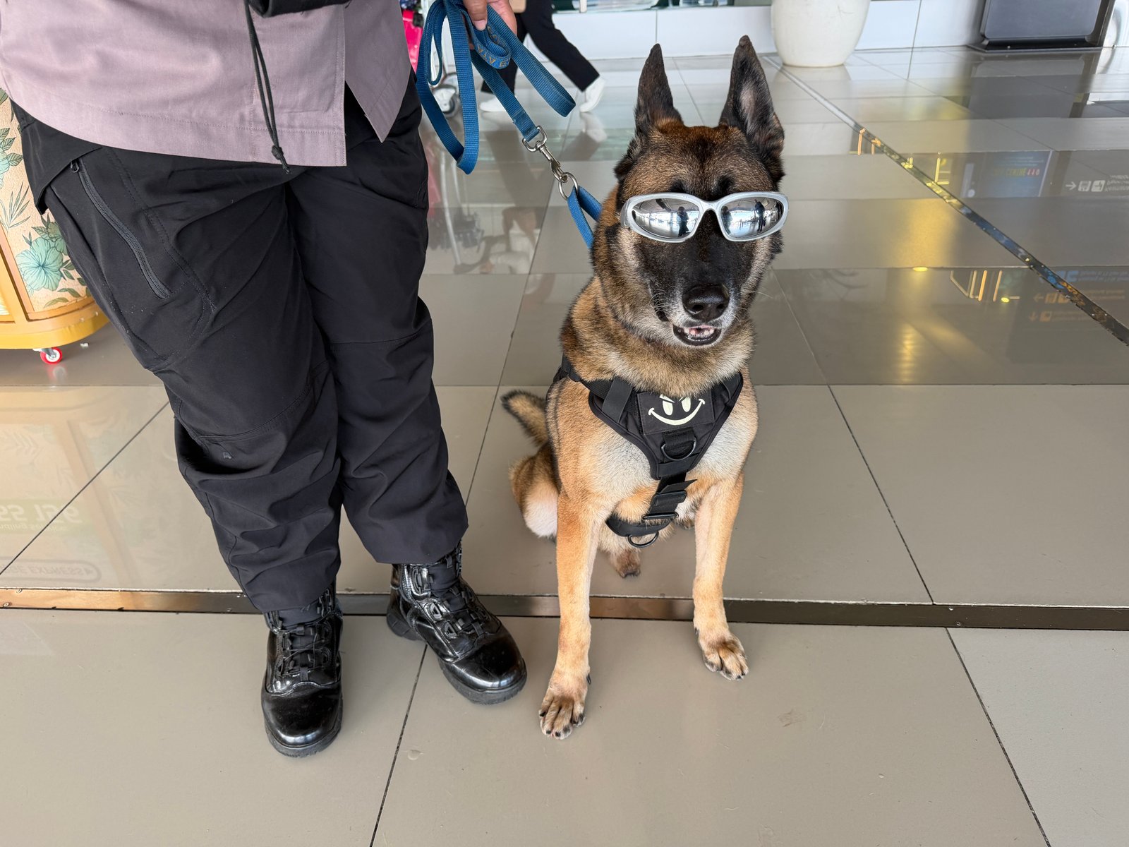 Watch dog: Security feature at Jakarta Airport