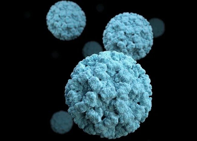 Norovirus causes an estimated 2.2 million cases of gastro each year