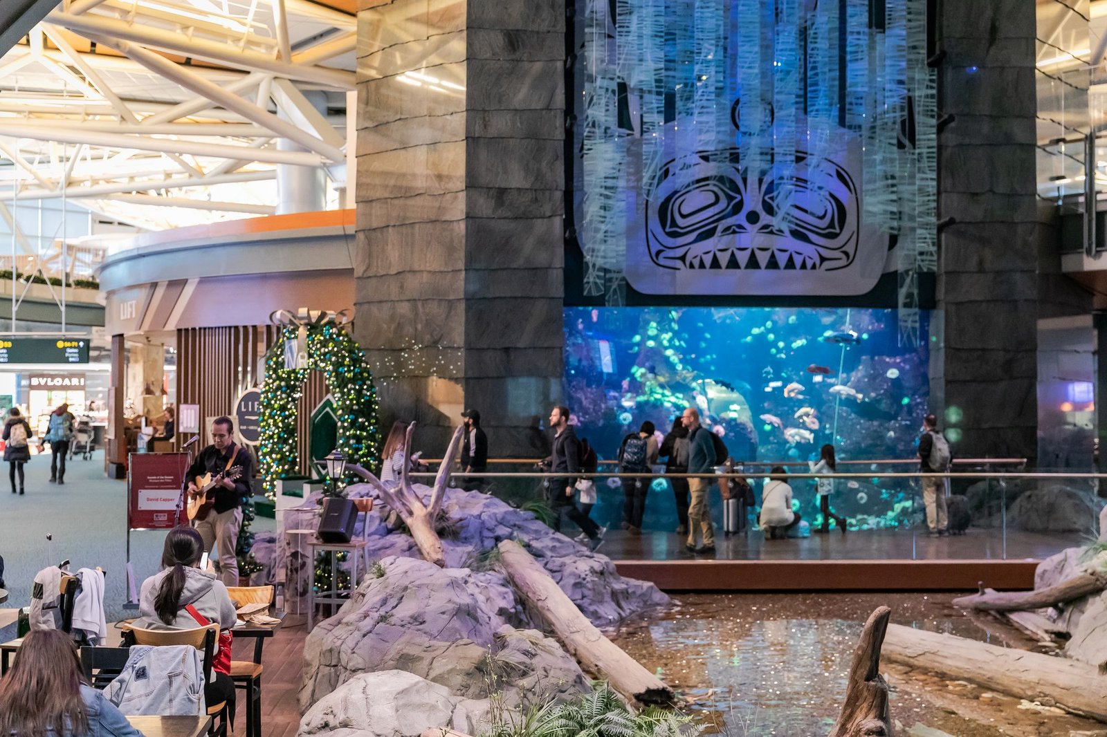 Vancouver International Airport has been named the No.1 airport in North America for 2026. Pictured is the hub's 114,000-liter aquarium that features a rocky kelp forest and around 5,000 creatures