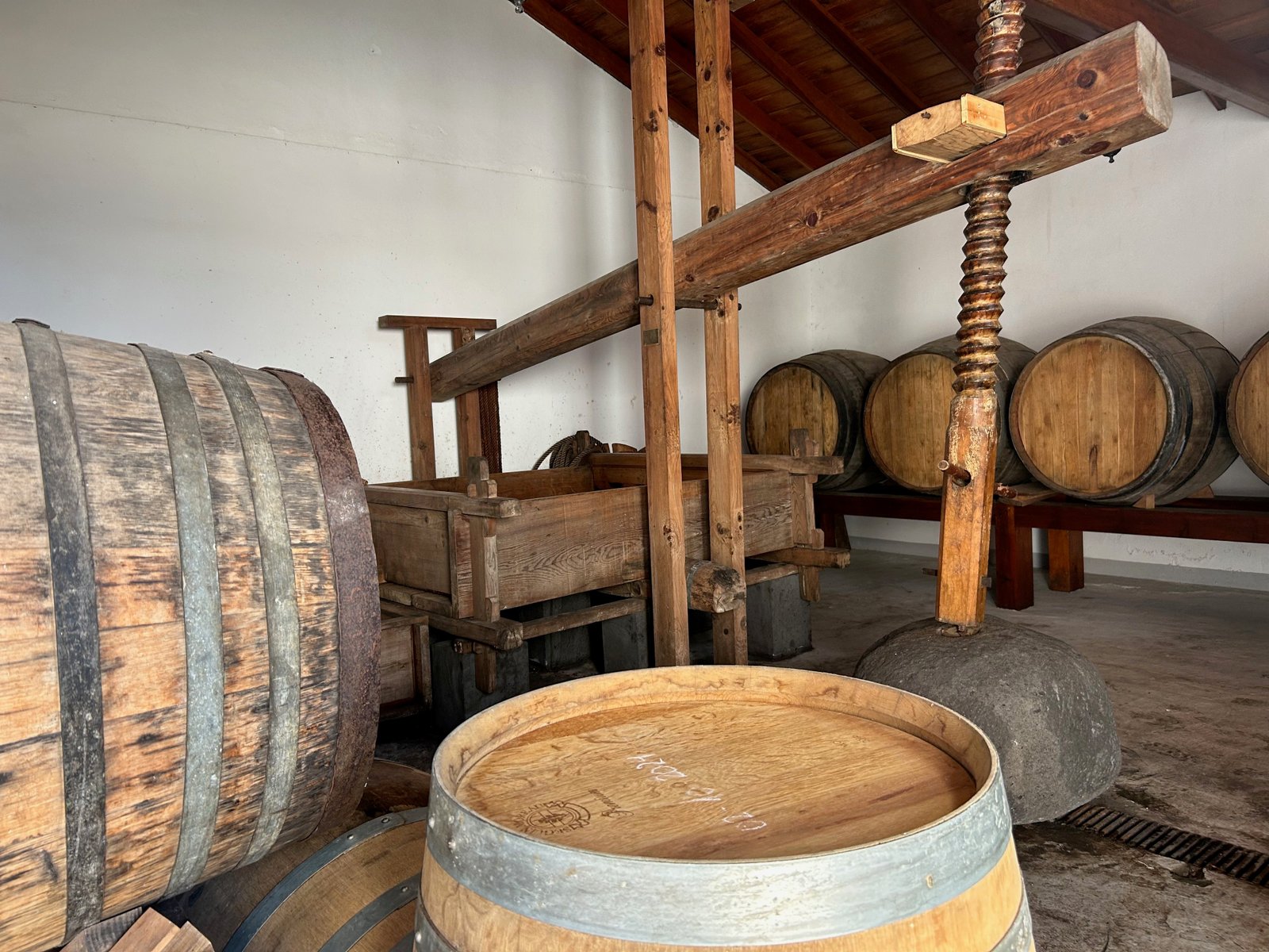 Bodega Carballo produces La Palma’s signature wine, malvasia