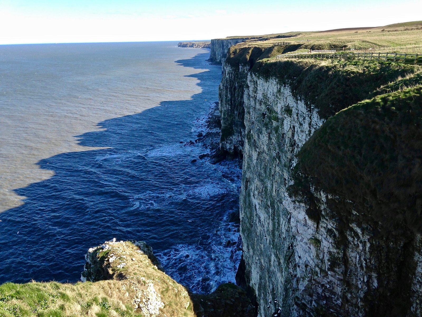 Around half a million seabirds gather on the cliffs between March and October