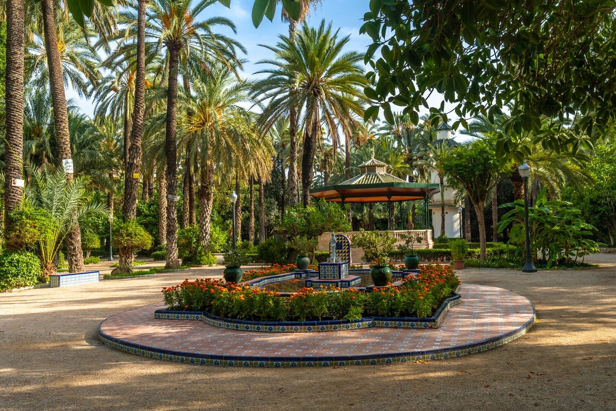 Elche’s Palmeral contains more than 200,000 trees