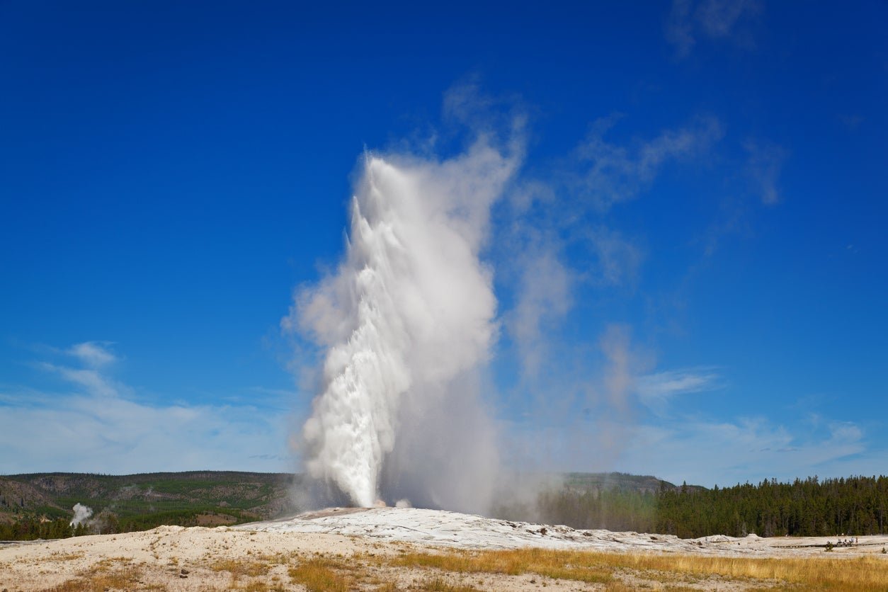 Old Faithful, which shoots hot water around 180 feet into the air, is one of around 500-700 geysers in Yellowstone National Park