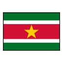 Suriname flag