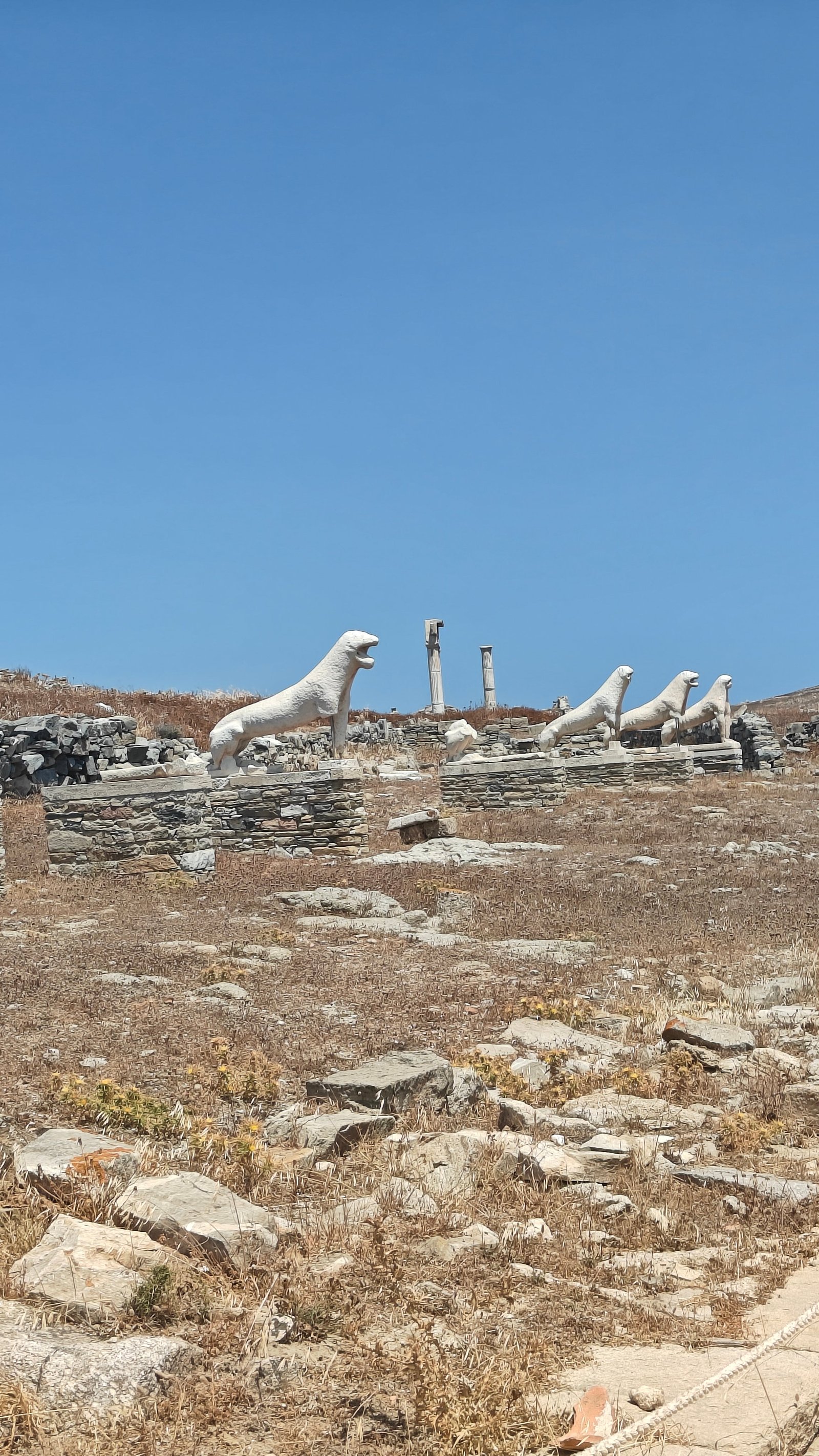 Statues of Eurasian lions guard shrines to Apollo and Artemis