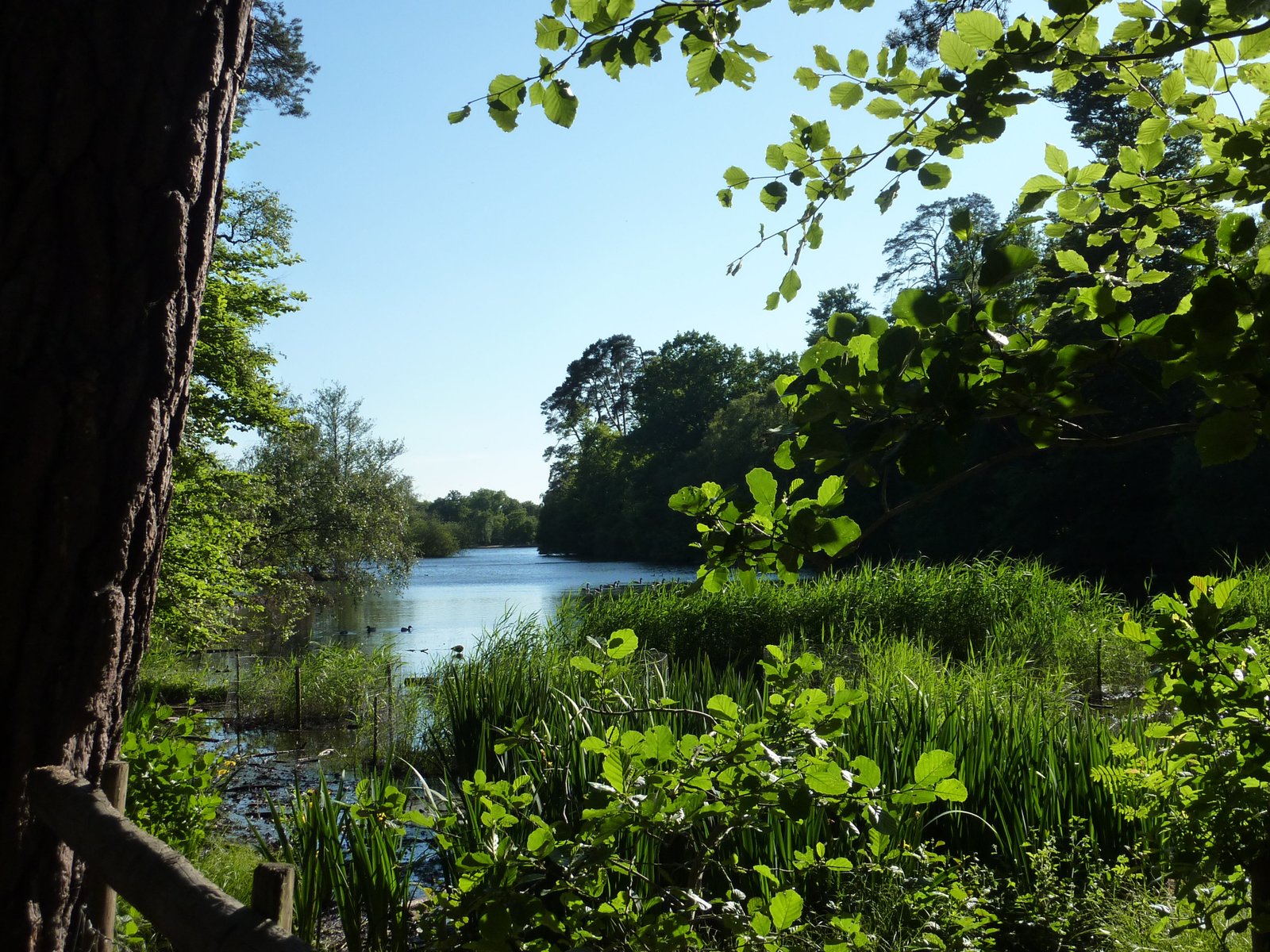 Visit Black Park Lake to see where some major films were made