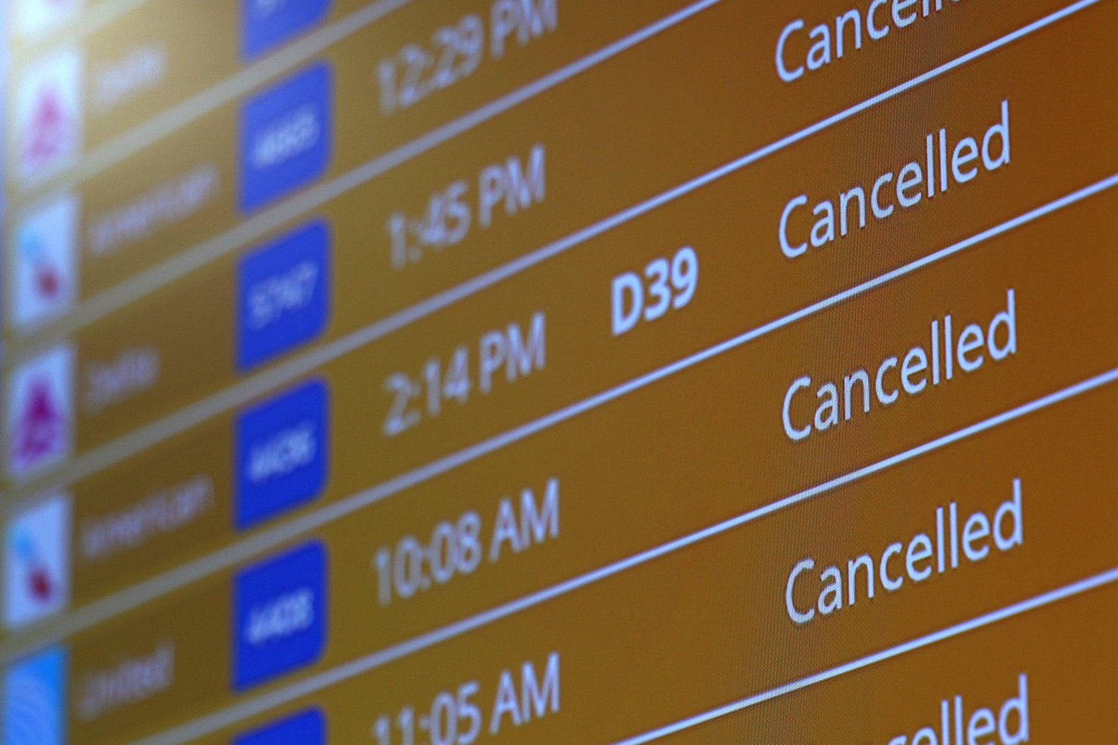 One travel expert advised Spirit customers not to cancel their booked flights if the airline does liquidate ‘because then you forfeit your right to a refund if there's still some money left over to be able to do so’