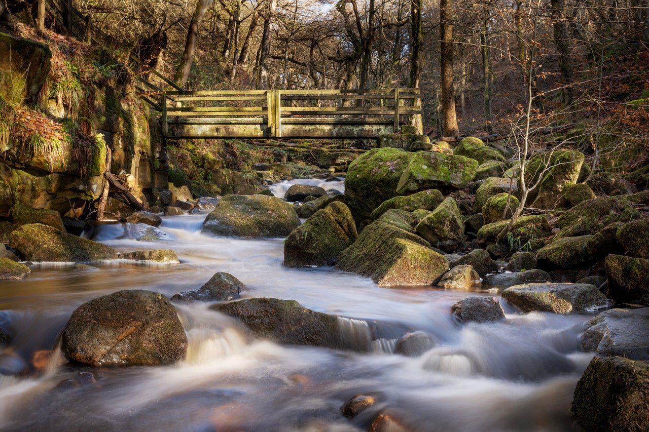Padley Gorge makes for a remarkable afternoon walk
