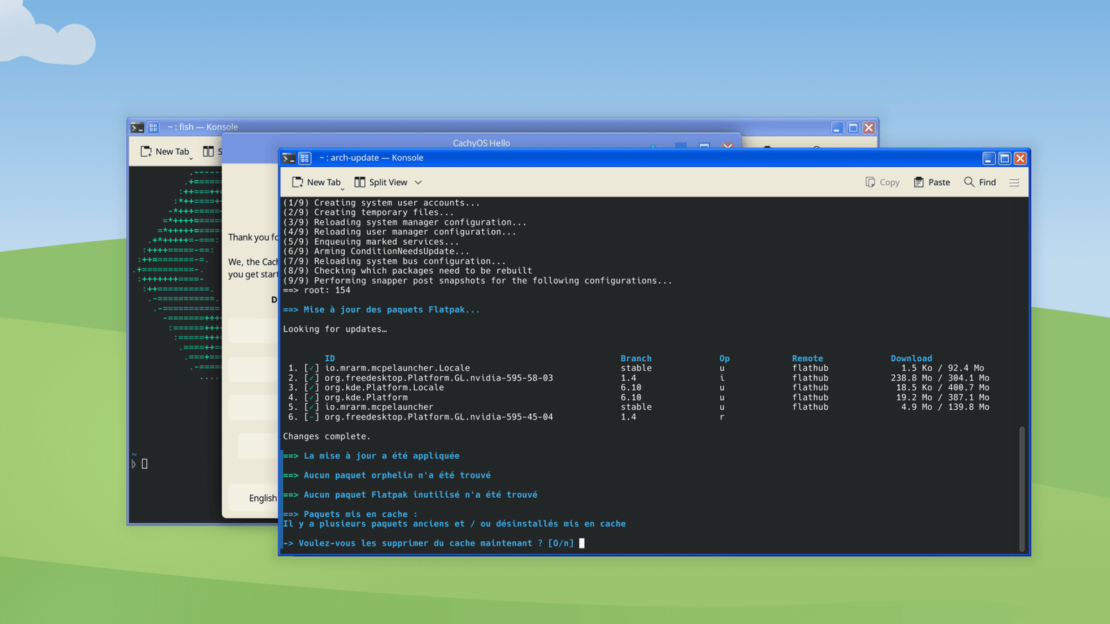Why did this switch to French halfway through? Je ne sais pas.