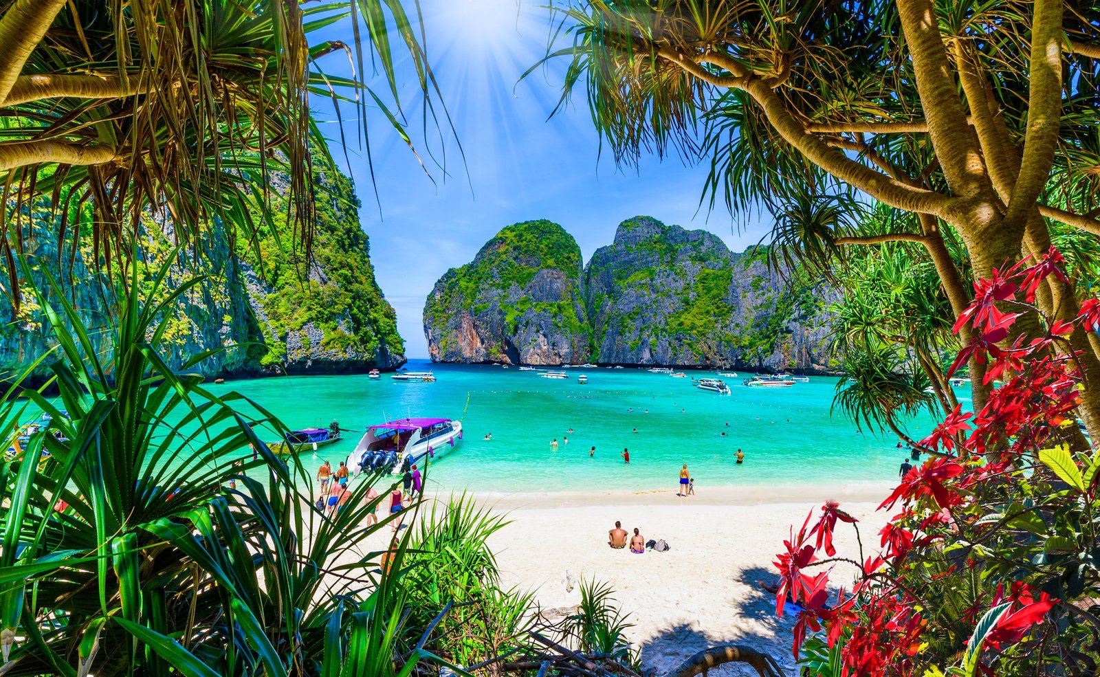 Maya Beach was made famous by movie The Beach